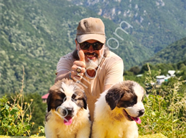 HEİDİ NİN KÖPEĞİ FİLM YILDIZI SAİNT BERNARD YAVRULAR