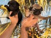 RESMİ İŞLETMEDEN GÜLKUYRUK PUG YAVRULARI
